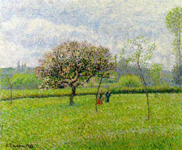 Pommier En Fleurs A Eragny Oil Painting by Camille Pissarro