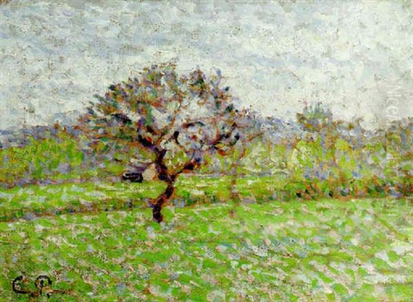 Le Pommier A Eragny Oil Painting by Camille Pissarro