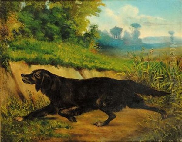 Cane Entro Paesaggi Oil Painting by Carlo Pittara