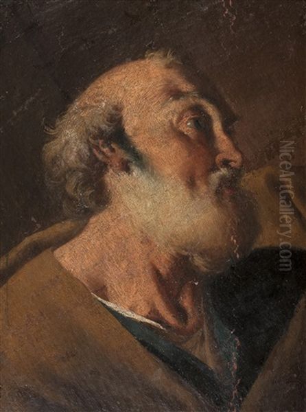 Study Of St. Peter Oil Painting by Giovanni Battista Pittoni the younger