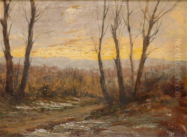 Paesaggio Al Tramonto Oil Painting by Giovanni Piumati