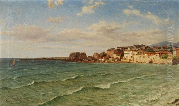 Marina Con Paese Sullo Sfondo Oil Painting by Carlo Pizzi