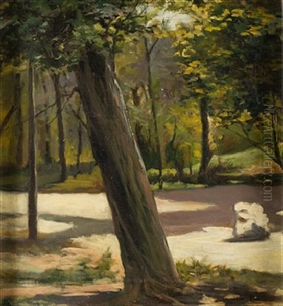 Arbol En El Parque Oil Painting by Cecilio Pla