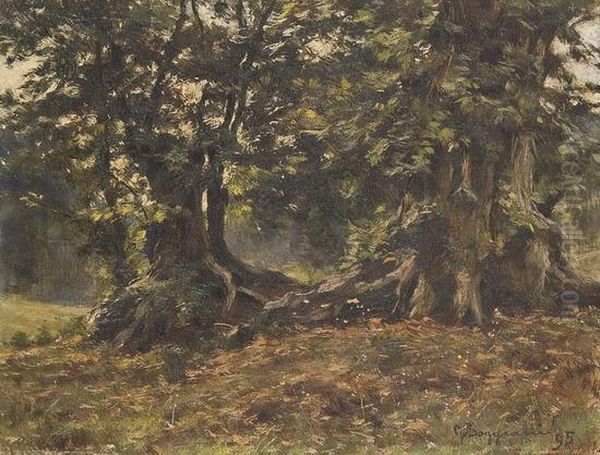 Alberi Nel Bosco Oil Painting by Guido Boggiani