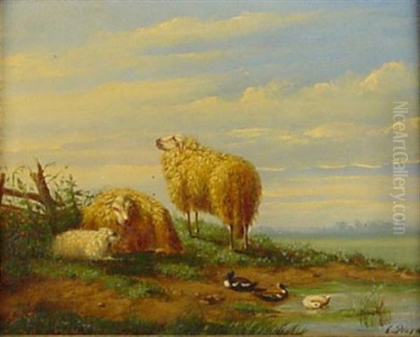 Schafe Und Federvieh Am Ufer Eines Teiches Oil Painting by Laurens Plas