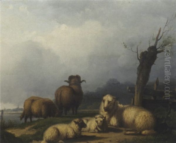 Sheep On A Riverbank Oil Painting by Pieter Plas