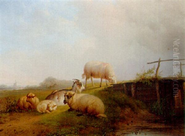 Sheep And Goats In A Dutch Landscape Oil Painting by Pieter Plas