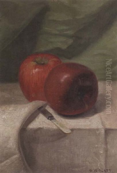 A Still Life With Apples Oil Painting by George W. Platt