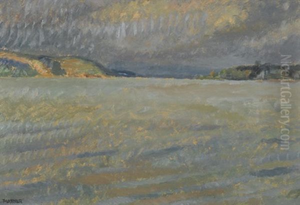 Murtensee Mit Bedecktem Himmel Oil Painting by Jakob Otto Plattner