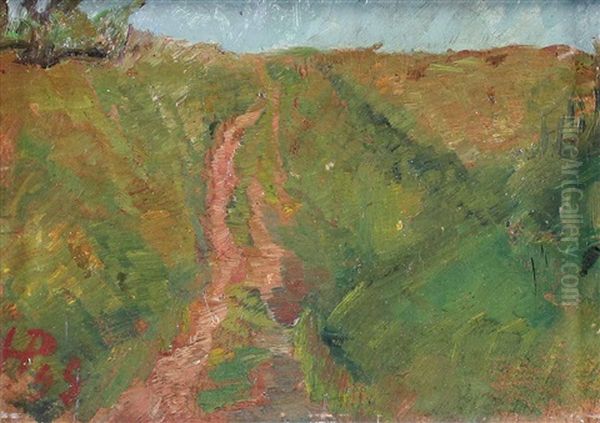 Feldweg-studie Oil Painting by Hermann Pleuer