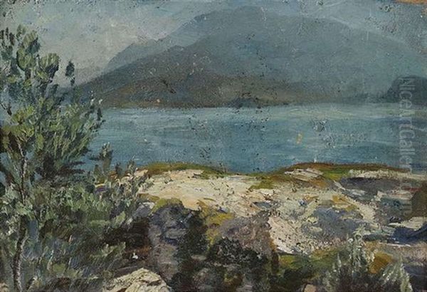 Sommerliches Seeufer Oil Painting by Hermann Pleuer