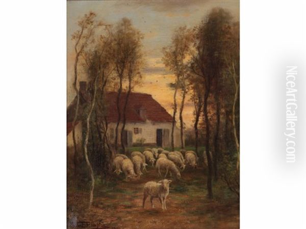 Sheep By Home Oil Painting by William E. Plimpton