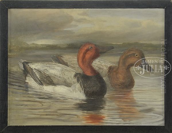 Two Works: Canvasback Ducks Oil Painting by Leander Plummer