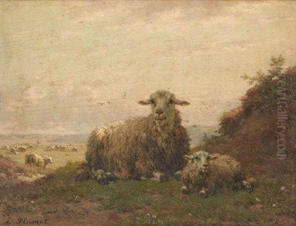 Moutons Au Paturage Oil Painting by Andre Plumot