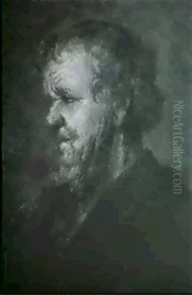 A Bearded Man Oil Painting by Karel van der Pluym