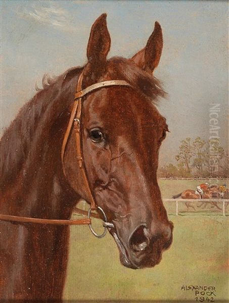 Bay Racehorse Oil Painting by Alexander Pock