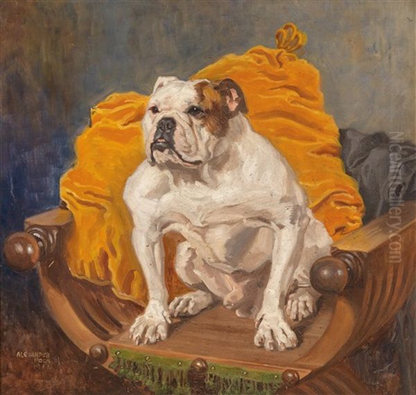 Englische Bulldogge by Alexander Pock