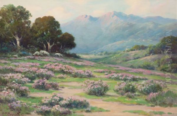 Wild Everlasting (santa Barbara) Oil Painting by Alexis Matthew Podchernikoff