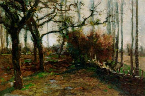 Wilgen Oil Painting by Geo Poggenbeek