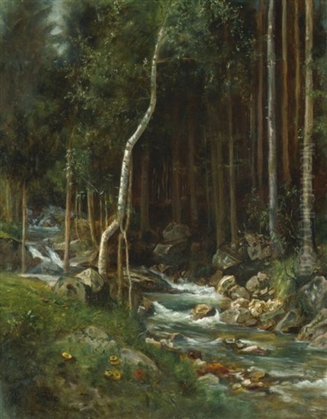 Waldstuck Mit Bachlauf Oil Painting by Hermann Pohle the Elder