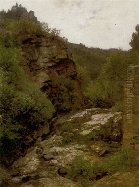 Felsschlucht Mit Buschwerk Oil Painting by Hermann Pohle the Elder