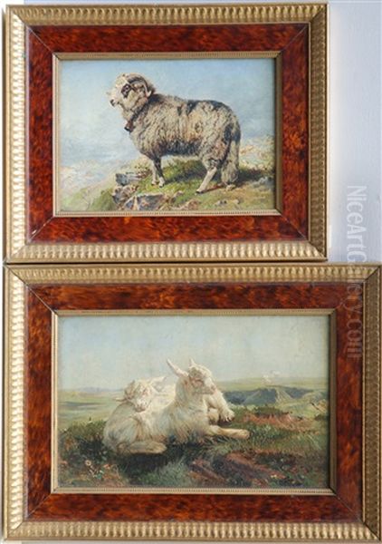 Ariete E Caprette (2 Works) Oil Painting by Charles H. Poingdestre