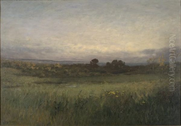 Ciel Gris Oil Painting by Auguste Emmanuel Pointelin