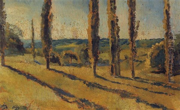 Contre-jour Matinal, Marcillat (allier) Oil Painting by Paul Poiret