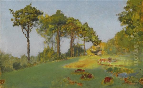 Summer At Jupille, Study Of Trees Oil Painting by Ivan Pavlovich Pokhitonov