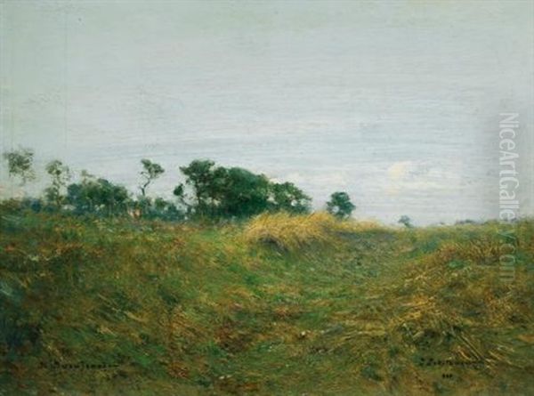 Path Through The Grass Oil Painting by Ivan Pavlovich Pokhitonov