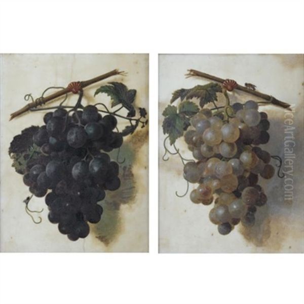 A Still Life Of Red Grapes (+ A Still Life Of Green Grapes; Pair) Oil Painting by Christiaen van Pol