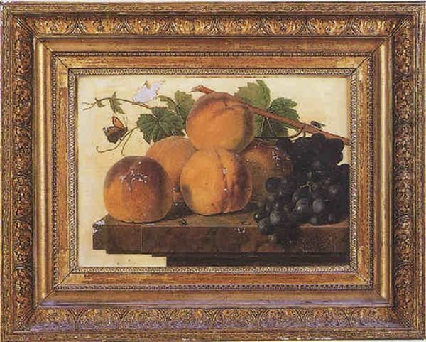 Peches Et Raisins Sur Un Entablement Oil Painting by Christiaen van Pol