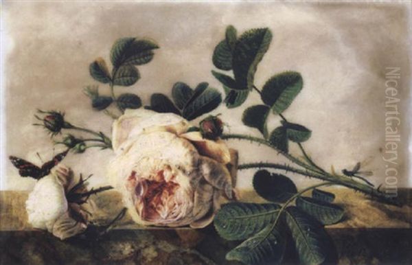 Branche De Roses Et Boutons Animee D'un Papillon, D'une Libellule Et D'une Mouche Oil Painting by Christiaen van Pol