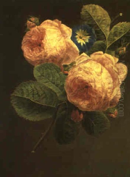 Etude De Roses Avec Liseron Oil Painting by Christiaen van Pol