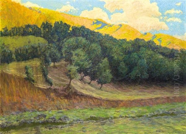 Sunny Hills Oil Painting by Hugo Poll