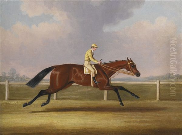 Coronation, A Bay Racehorse With Jockey Up In Yellow Silks On A Racecourse Oil Painting by James Pollard