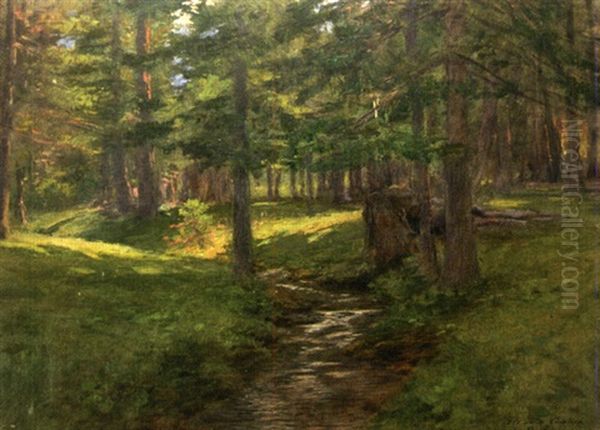 Ruisseau Dans Une Pinede Oil Painting by Carlo Pollonera