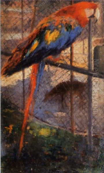 Papagei Im Zoo Oil Painting by Karoly (Karl) Pongracz von Szentmiklos