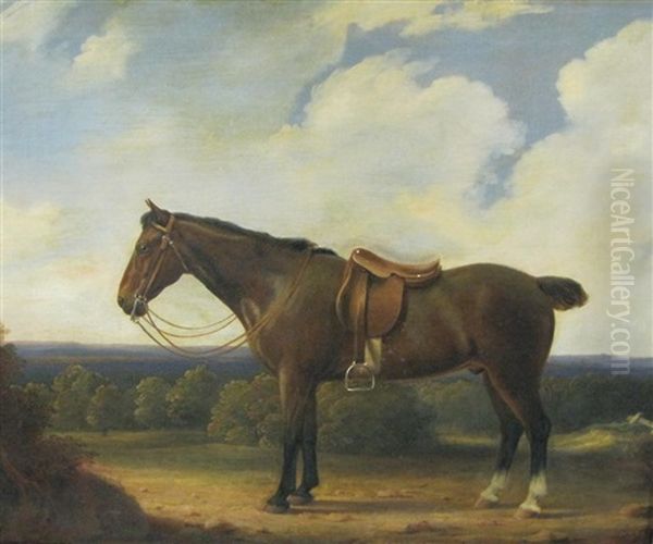 A Bay Hunter On A Path A Parkland Beyond Oil Painting by John Ponsford