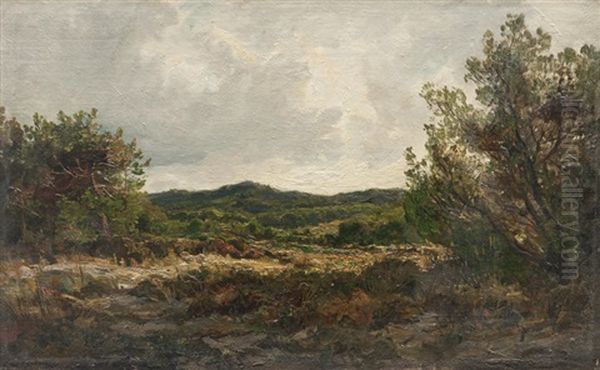 Paysage Sur L'ile De Porquerolles Oil Painting by Luc Raphael Ponson