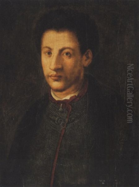 Portrait D'alexandre De Medicis Oil Painting by  Pontormo