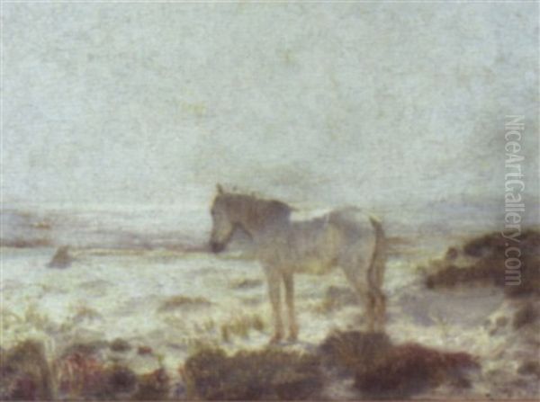 The Old White Horse Of The Dunes Oil Painting by Henry Rankin Poore