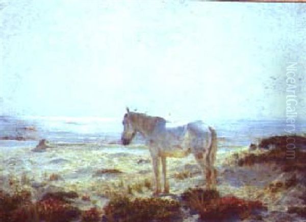 The Old White Horse Of The Dunes Oil Painting by Henry Rankin Poore