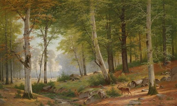 Romantic Landscape With Red Deer At The Stream