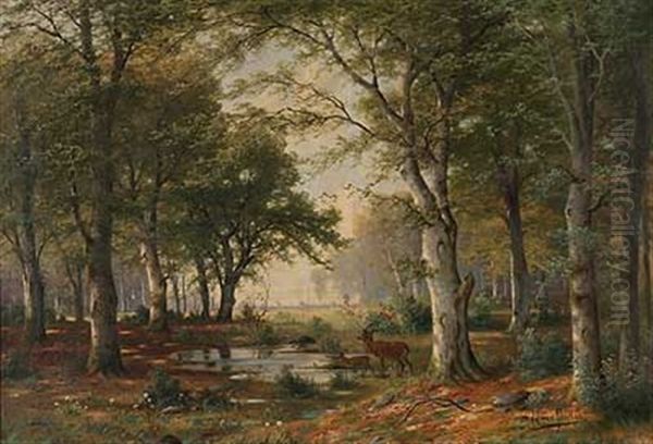 Rotwild Im Sonnigen Wald An Der Tranke Oil Painting by Jacobus Johannes Van Poorten