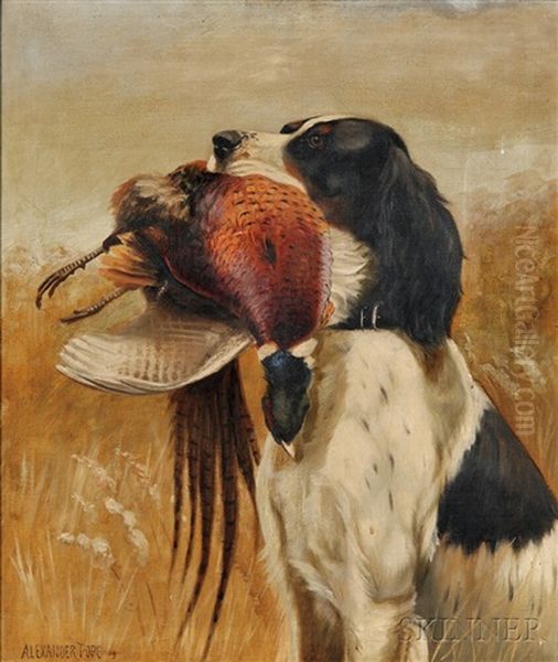 Setter With Pheasant Oil Painting by Alexander Pope