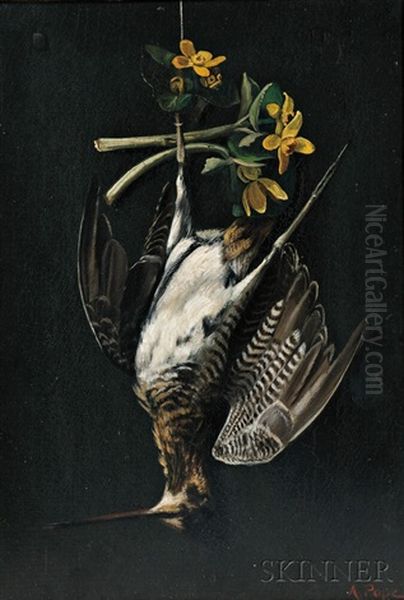 Hanging Snipe With Yellow Blossoms Oil Painting by Alexander Pope