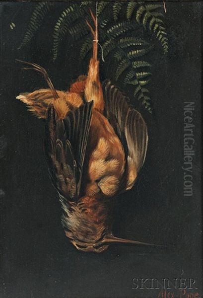 Hanging Woodcock With Fern Oil Painting by Alexander Pope