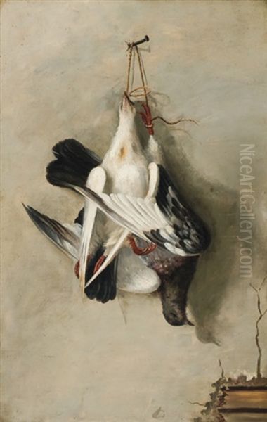 Passenger Pigeons Oil Painting by Alexander Pope