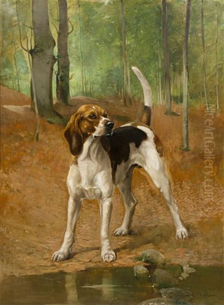 Portrait Of A Beagle Oil Painting by Alexander Pope